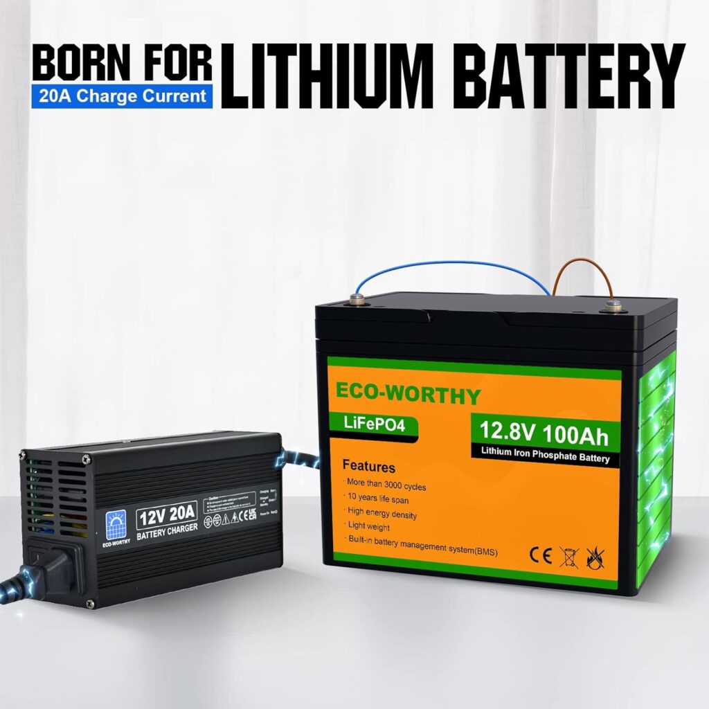ECO-WORTHY 12V 20A Lithium LifePO4 Battery Charger, for Lithium Iron Phosphate Battery, Fast Charging Automatic Smart  Maintenance, for Deep Cycle Battery Car Motorcycle Marine