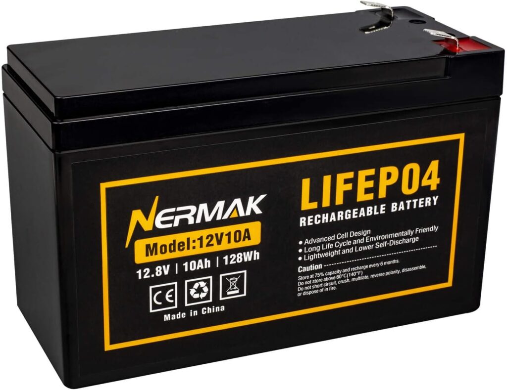 12V 10Ah Lithium LiFePO4 Deep Cycle Battery, 2000+ Cycles Rechargeable Battery for Solar/Wind Power, Small UPS, Lighting, Power Wheels, Fish Finder and More, Built-in 10A BMS