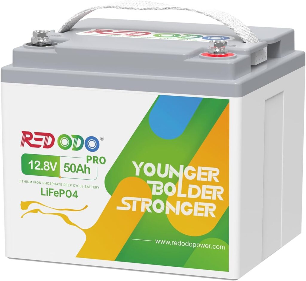 Redodo 12.8V 50Ah Lithium Portable LiFePO4 Battery, Built-in 50A BMS, 4000-8000 Cycles  10-Year lifetime, Perfect for RV, Camper, Security Devices, etc